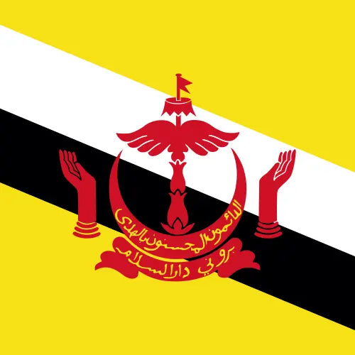 eSIM Brunei Darussalam