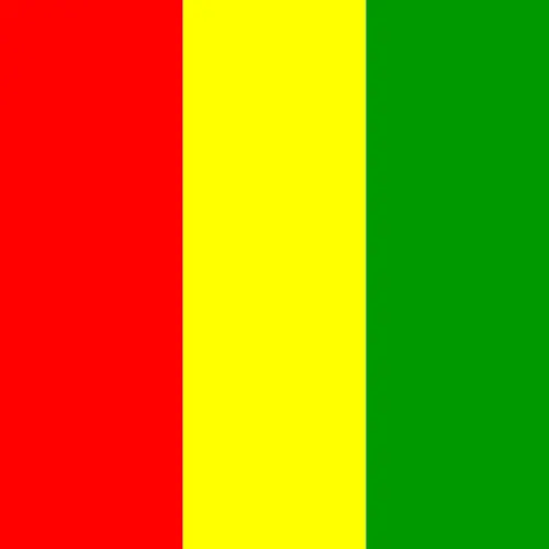 eSIM Guinea