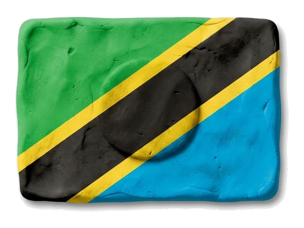eSIM Tanzania claymotion